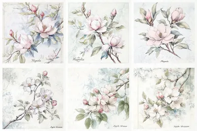 Zdjęcie produktu dla Zestaw papierów ryżowych - ITD - RSM176 kwiaty, magnolia, kwiaty jabłoni