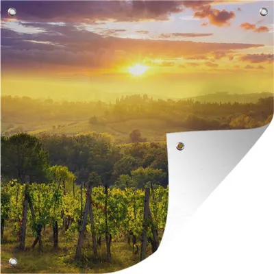 Obrázek produktu pro MuchoWow® Zahradní plakáty - Toskánsko - Itálie - Hrozny - 50x50 cm - Zahradní dekorace