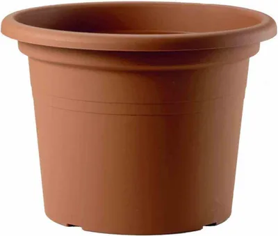 Image de Pot de fleurs Cilindrisch 30cm argile 1124