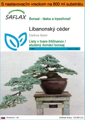 Obrázok produktu pre SAFLAX Garden in the bag - Libanonský céder - Cedrus libani - 20 Semená - S pestovateľským substrátom v praktickom samostaviteľnom vrecku