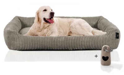 Produktbild von Rohrschneider Hundesofa große Hunde | Cord Hundebett groß | dog bed xxl |Hundebett erhöht | Pflegeleichtes Hundebett mit Hundekissen 120x80 cm| Hundekörbchen kuschelig | Geschenke Hundeliebhaber, Farbe:taupe