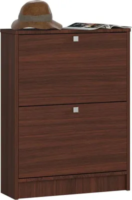 Image de Meuble à chaussures 60 cm avec 2 portes battantes en noyer