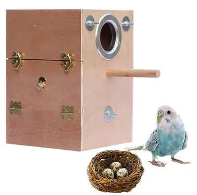 Image de Cage en bois pour perruches et nid