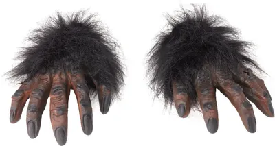 Produktbild von Brown Hairy Hands - Einheitsgröße