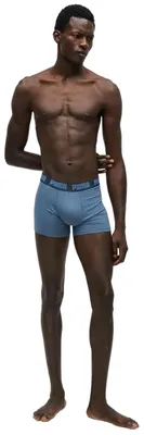 Obrázek produktu pro Slipy Puma PUMA MEN EVERYDAY BASIC BOXERS 2P pro Pánské