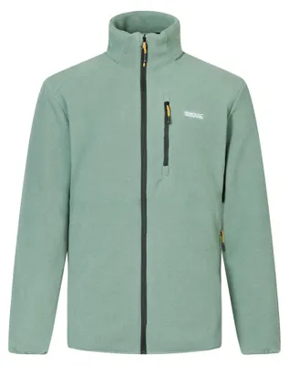 Produktbild von Regatta - "Brinnden" Fleece für Herren, Durchgehender Reißverschluss RG13442 (M) (Dunkelwaldgrün)