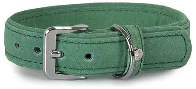 Produktbild von Das Lederband Hundehalsband Toronto Leaf Green, Länge: 55 cm