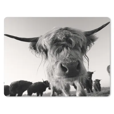 Produktbild von MuchoWow® Mauspad Mousepad Schottischer Highlander - Schwarz - Weiß - Tiere 40x30 cm - Mousepads - Maus Mat - Pad - Mausunterlage - Anti Rutsch