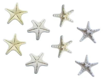 Produktbild von 8 Stück Deko-Seesterne in Weiß für maritime Dekoration