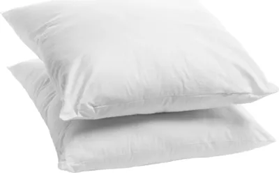 Image de Bleu Calin Lot de 2 Oreillers Moelleux Anti-acariens - 60x60cm