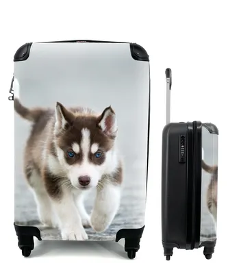 Produktbild von MuchoWow® Koffer Handgepäck Trolley Rollkoffer Kleine Reisekoffer mit 4 Rollen - Husky-Welpe läuft über die Straße - Cabin Size < 55x40x23 cm & 55x40x20 cm - Fotokoffer - Kabinenkoffer - Boardgepäck - Reise-Box - Reisekoffer - Reisegepäck - Koffer mit Bild - Trolley für Kinder