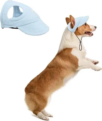 Produktbild von Hundehut für Sommer, Verstelbarer Pet mit Ohröffnungen, Schutzaccessoire für kleine bis mittelgroße Hunde, ideal für Outdoor und Reisen - Hellblau - L