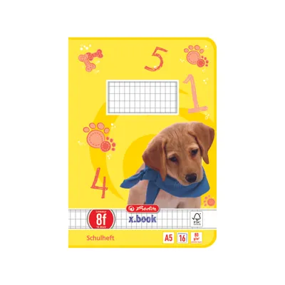 Produktbild von herlitz Schulheft x.book DIN A5 Lineatur 8f / rautiert 16 Blatt