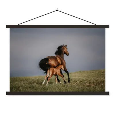 Produktbild von MuchoWow® Textilposter Tiere - Pferde - Fohlen 90x60 cm mit schwarzem Rahmen - Aufhängungssatz