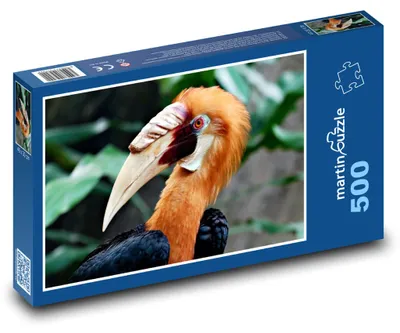 Obrázok produktu pre Puzzle 500 Zoborožec v tropickom lese - martinpuzzle