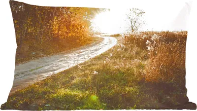 Produktbild von MuchoWow® Zierkissen Sofakissen Wohnzimmer Dekokissen 50x30 cm Weg - Natur - Baum - Wohnzimmerdekoration - Polster mit Photo