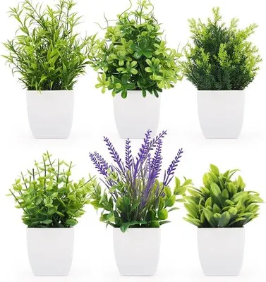 Productafbeelding van 6 stuks kunstplanten voor binnen - Kleine decoratieve kunstplanten in pot voor slaapkamer, keuken, badkamer en thuis