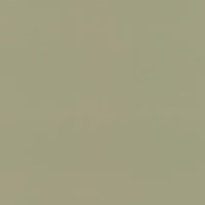 Zdjęcie produktu dla Tapeta flizelinowa 692709 Jednokolorowa tapeta gładka 53 x 1005 cm Rasch Country Charme Green