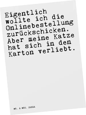 Produktbild von Mr. & Mrs. Panda Postkarte Eigentlich wollte ich die... - Weiß - Geschenk, Spruch Sprüche Weisheiten Zitate Lustig Weisheit Worte, Haus, Frauchen, Ansichtskarte, Herrchen