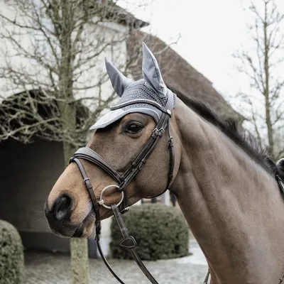 Produktbild von Kentucky Horsewear Fliegenmütze Wellington Basic Velvet Fliegenhaube Grau Full