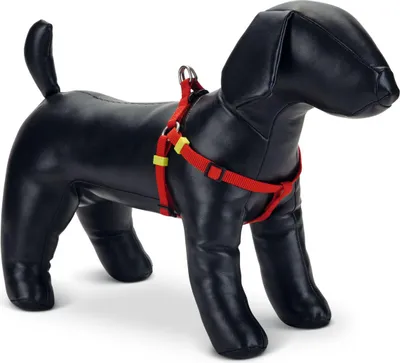 Produktbild von Beeztees Uni - Hundegeschirr - rot - 35-60 cm x 15 mm