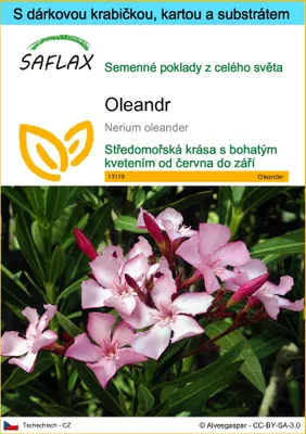 Obrázek produktu pro SAFLAX Dárková sada - oleandr - Nerium oleander - 50 Semena - S dárkovou krabičkou, přepravním štítkem, dárkovou kartou a pěstebním médiem