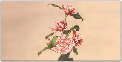 Produktbild von Coloray Bild aus Leinwand 120x60 Leinwand Dekoration - Blumen Pflanzen