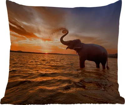 Produktbild von MuchoWow® Outdoor Kissen - Elefant - Meer - Tiere - Sonnenuntergang - Orange - 40x40 cm - Wetterfest - Lounge Kissen - Kopfkissen - Interieur - Polster mit Bild