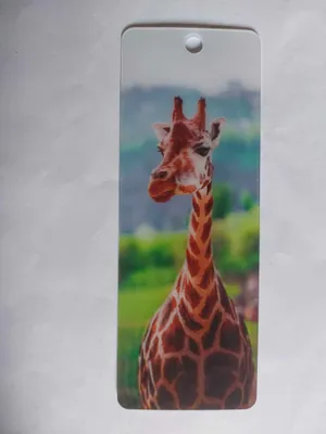 Produktbild von 3D Lesezeichen Giraffe, 15x5cm, Wackelbild Wackelkarte Buchzeichen Bookmark Bücher Tier Giraffen