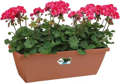 Image de elho barcelona Armoires de balcon 70 cm - tonrot