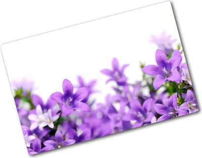 Produktbild von Tulup Glas Herdabdeckplatte - 80x52 cm - Glaskeramikkochfeld-Abdeckung Spritzschutz Glasabdeckplatte - Einteilig - Blumen & Pflanzen - Lila Glocken - Lila