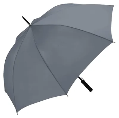 Immagine prodotto di Fare - Ombrello LT6249 (taglia unica) (grigio)