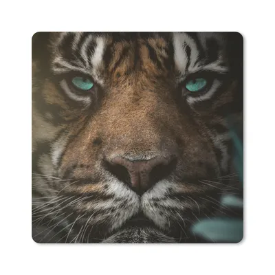Produktbild von MuchoWow® Mauspad Mousepad Dschungel - Tiger - Wilde Tiere 20x20 cm - Mousepads - Maus Mat - Pad - Mausunterlage - Desk Mat - Bureauartikeln