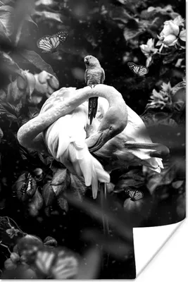 Produktbild von MuchoWow® Poster Flamingo und Schmetterlinge im Dschungel - schwarz und weiß 120x180 cm - Kunstposter