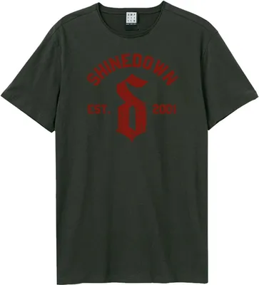 Image de Amplified - "2001" T-shirt pour homme/femme Unie GD1335 (S) (Charbon de bois)