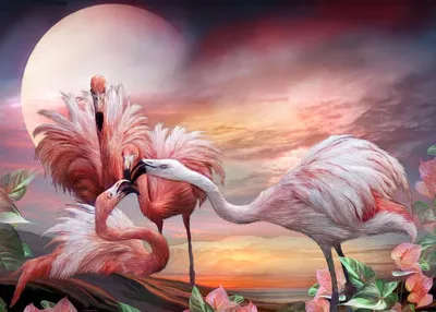 Image de Tableau diamant Flamants roses 30x40cm
