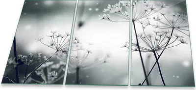 Produktbild von Herdabdeckplatte Abdeckung Glaskeramikfeld Abdeckplatte 3-Teilig 90x52 Pusteblume Grau