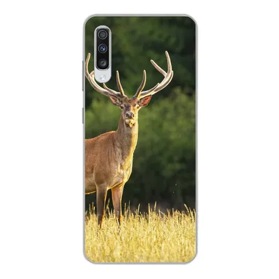Produktbild von MuchoWow® Handyhülle Schutzhülle Hülle für Samsung Galaxy A70 Hirsch - Geweih - Gras - Natur - Tiere - Grün Silikon Softcase Handy Hülle - Schutzhaube