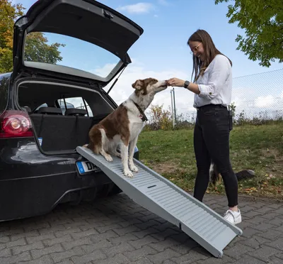 Produktbild von Hunderampe Emma belastbar bis 40kg Tiereinstiegshilfe für PKW Busse Vans Camping