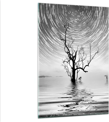 Produktbild von Bilder auf glas - Einteilig - Schwarzweiß Baum See - 80x120cm - Glasbilder - Wandbilder - Bilder - zum Aufhängen bereit - Wanddekoration aus Glas - Glas Bilder - Wandbild auf Glas - GPA80x120-4253