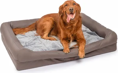 Produktbild von RAIKOU Hundematratze Hundebett gepolstertes waschbares Tierbett Hundekissen Hundesofa