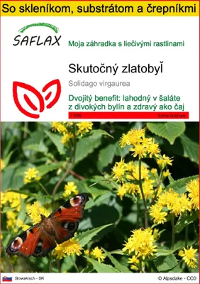 Obrázok produktu pre SAFLAX Kultivačný set - Skutočný zlatobyľ - Solidago virgaurea - 100 Semená - S mini skleníkom, pestovateľským substrátom a 2 črepníkmi