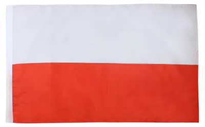 Polen Flagge 90x60 cm, Polyester, Mastschlaufe