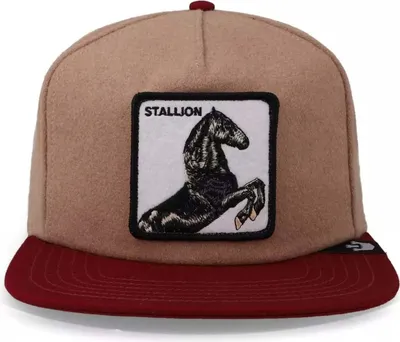 Obrázok produktu pre Šiltovka Goorin Bros 101-1374-TAN pre Uni