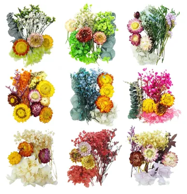 Imagen del producto de Pequeñas flores secas en 9 paquetes, ideales para proyectos creativos