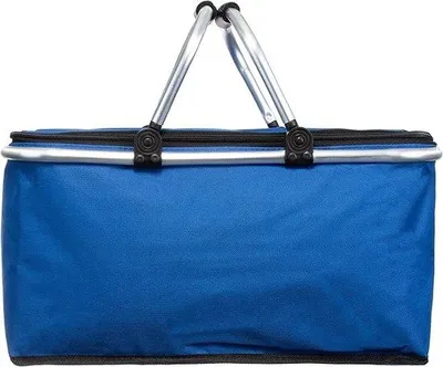 Obrázek produktu pro Chladicí box, piknikový box, 27 × 46 × 23 cm, izolovaný