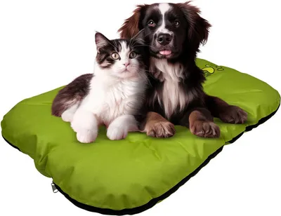 Produktbild von EVE Textile Hundebett Katzenbett 85x70x5 cm Grün Hundekorb Katzenkorb Hundekissen Katzenkissen Hundesofa Katzensofa Bett für Haustiere Hund und Katz