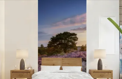 Produktbild von Fotobehang Heide bei Sonnenuntergang - Breite 120 cm x Höhe 240 cm