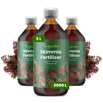 Zdjęcie produktu dla Skimmia Nawóz Płynny 3x1 L – 3-4-3 NPK – Do Skimmie – Podporuje Rovnomernú Tvorbu Kwiatów i Zdrowe Rośliny – Organifer