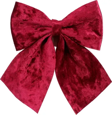 Produktbild von Rote Fliege 20 x 24 cm